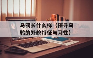 深情密码下载（获取最新深情密码下载地址）