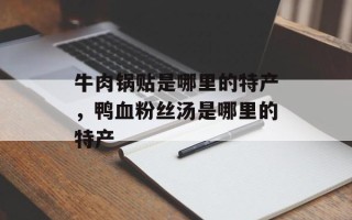 牛肉锅贴是哪里的特产，鸭血粉丝汤是哪里的特产