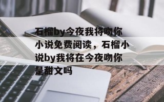 石榴by今夜我将吻你小说免费阅读，石榴小说by我将在今夜吻你是甜文吗