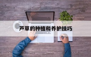 线豆的做法大全家常，线豆的做法大全