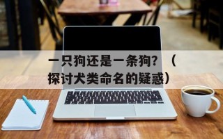 妈模（介绍一种新型的母婴护理器具）