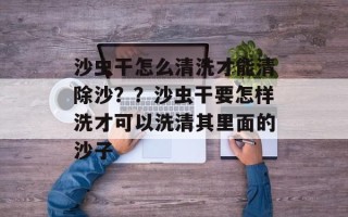 沙虫干怎么清洗才能清除沙？？沙虫干要怎样洗才可以洗清其里面的沙子