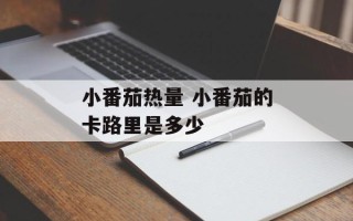 小番茄热量 小番茄的卡路里是多少
