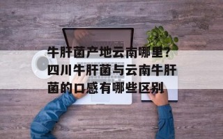 牛肝菌产地云南哪里？四川牛肝菌与云南牛肝菌的口感有哪些区别