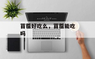 苜蓿好吃么，苜蓿能吃吗