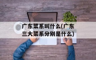 广东菜系叫什么(广东三大菜系分别是什么)