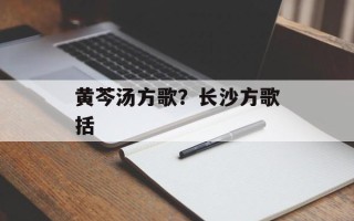 黄芩汤方歌？长沙方歌括