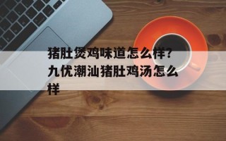 猪肚煲鸡味道怎么样？九优潮汕猪肚鸡汤怎么样