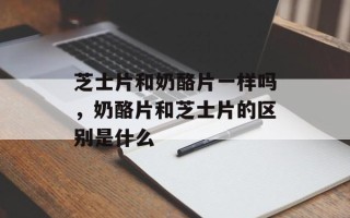 芝士片和奶酪片一样吗，奶酪片和芝士片的区别是什么