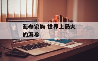 海参家族 世界上最大的海参
