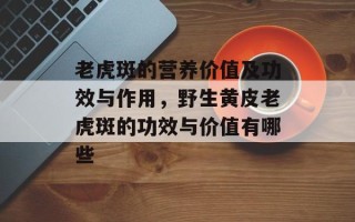 老虎斑的营养价值及功效与作用，野生黄皮老虎斑的功效与价值有哪些