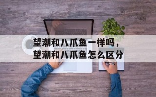 望潮和八爪鱼一样吗，望潮和八爪鱼怎么区分