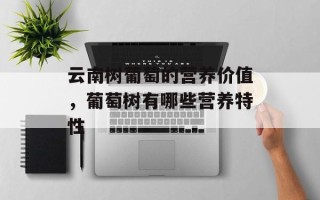 云南树葡萄的营养价值，葡萄树有哪些营养特性