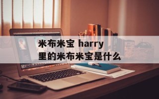 米布米宝 harry里的米布米宝是什么