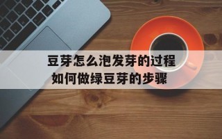 豆芽怎么泡发芽的过程 如何做绿豆芽的步骤