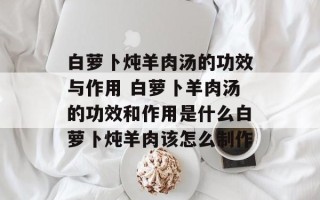 白萝卜炖羊肉汤的功效与作用 白萝卜羊肉汤的功效和作用是什么白萝卜炖羊肉该怎么制作