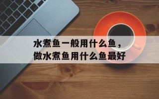 水煮鱼一般用什么鱼，做水煮鱼用什么鱼最好