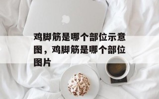 鸡脚筋是哪个部位示意图，鸡脚筋是哪个部位图片