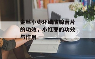 金丝小枣环磷酸腺苷片的功效，小红枣的功效与作用