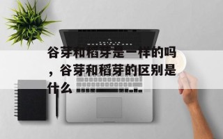 谷芽和稻芽是一样的吗，谷芽和稻芽的区别是什么