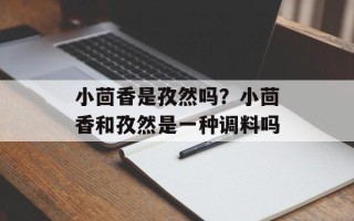 小茴香是孜然吗？小茴香和孜然是一种调料吗
