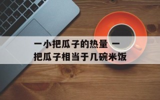 一小把瓜子的热量 一把瓜子相当于几碗米饭