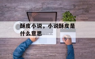酥皮小说，小说酥皮是什么意思