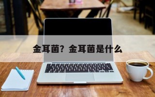 金耳菌？金耳菌是什么