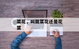 菜花，叫做菜花还是花菜