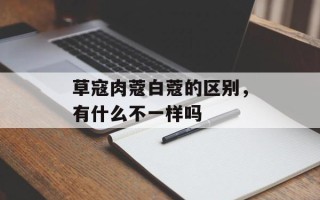 草寇肉蔻白蔻的区别，有什么不一样吗
