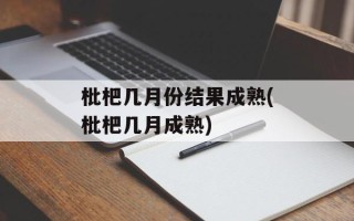 枇杷几月份结果成熟(枇杷几月成熟)