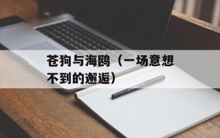 羊排炖萝卜家常做法，羊排炖萝卜家常做法第一美食