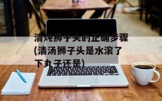 清炖狮子头的正确步骤(清汤狮子头是水滚了下丸子还是)