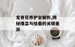 龙骨花养护全解析,揭秘爆盆与枯萎的关键差异