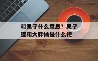 和果子什么意思？果子狸和大胖橘是什么梗