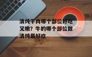 清炖牛肉哪个部位好吃又嫩？牛的哪个部位做清炖最好吃