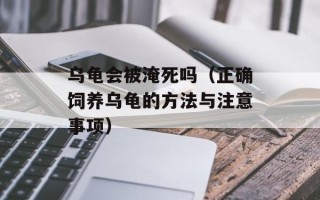 清仓兔（了解清仓兔的饲养技巧和注意事项）