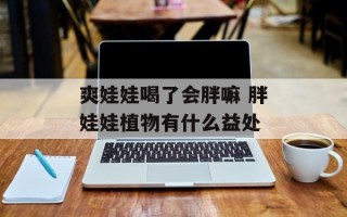 爽娃娃喝了会胖嘛 胖娃娃植物有什么益处