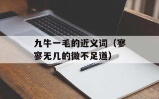 点讯梅花输入法（一款高效、智能的输入工具）
