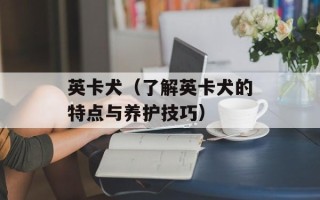 美食网站模板图片，美食网站模板素材
