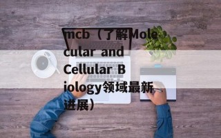 出人头地说的是谁（揭秘成功人士的共同特征）