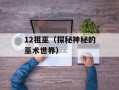 3166什么意思（解读3166编码的含义）