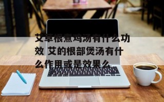 艾草根煮鸡汤有什么功效 艾的根部煲汤有什么作用或是效果么