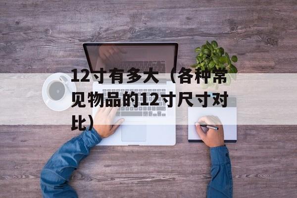 2个师傅进入徒弟（探究传统手艺传承的故事）-第1张图片-