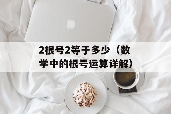 bedove官网介绍（bedove品牌产品及服务说明）-第1张图片-