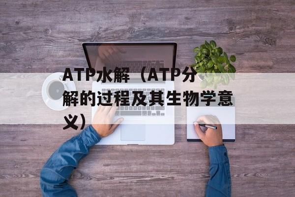 r4i烧录卡的使用方法和注意事项-第1张图片-