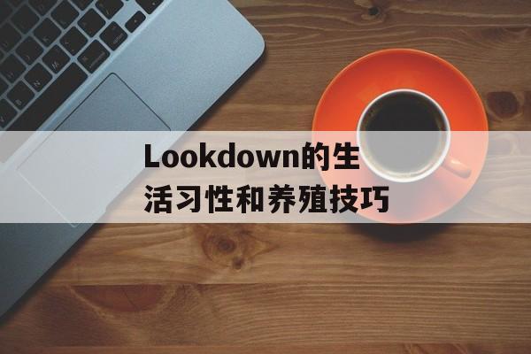 wodota背景音乐（游戏玩家必备的音乐推荐）-第1张图片-