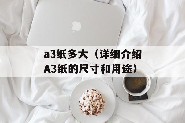 三剑客奇迹加点（游戏攻略及装备升级建议）-第1张图片-