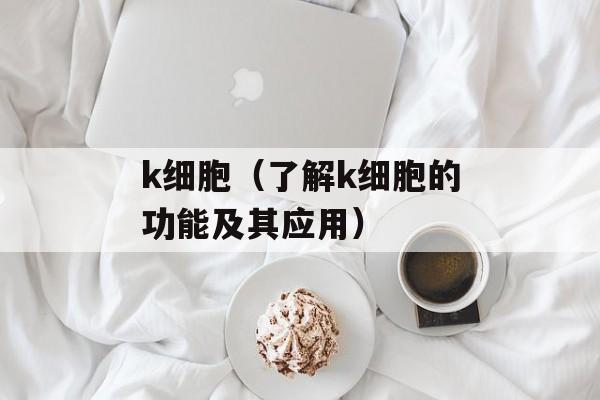 军港网（全面了解军港网的服务和功能）-第1张图片-