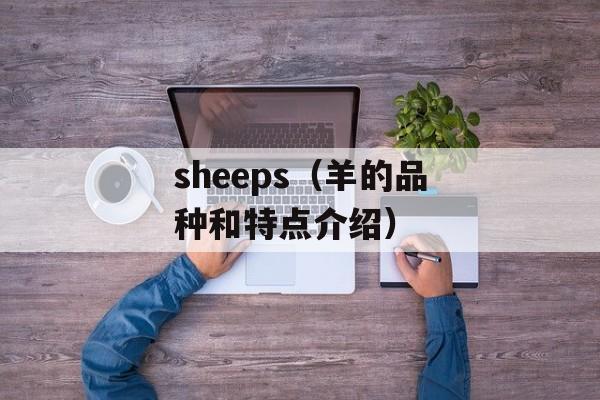 叶珊宜（一个优秀的职场女性的故事）-第1张图片-